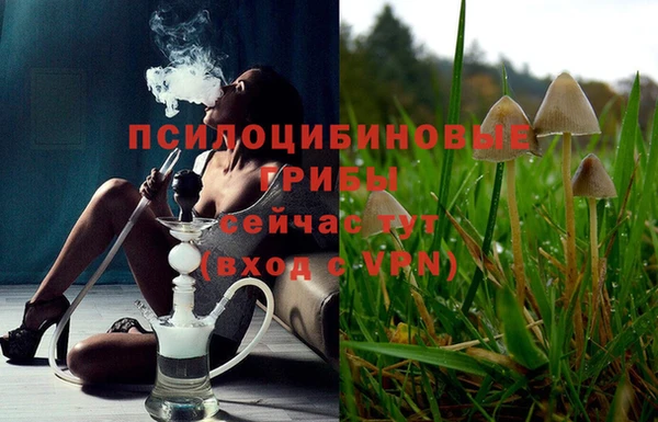 молекула духа Алексеевка