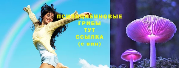 гашик Алзамай