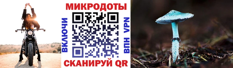 сайты даркнета телеграм Алексеевка Галлюциногенные грибы GOLDEN TEACHER купить сайты OMG сайт